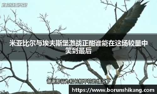 米亚比尔与埃夫斯堡激战正酣谁能在这场较量中笑到最后